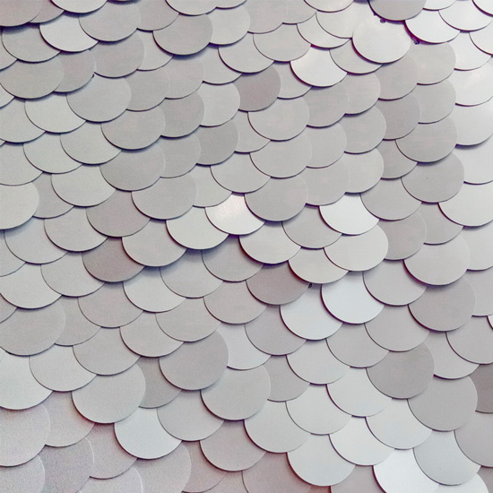 Silver Sequin